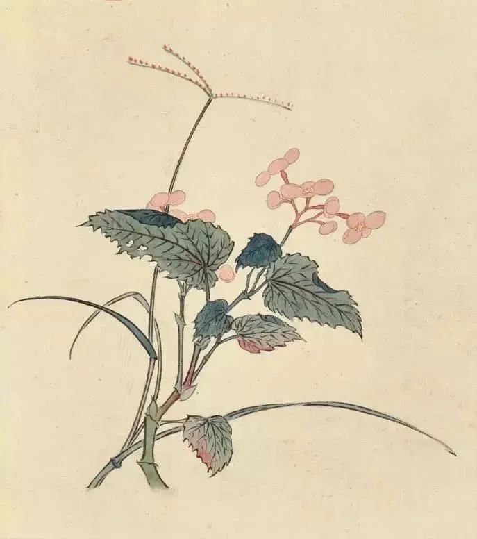 溥儒，轻描淡写，笔笔清气若兰