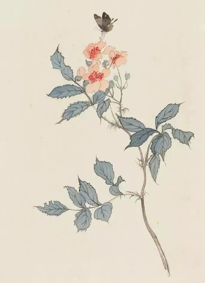 溥儒，轻描淡写，笔笔清气若兰