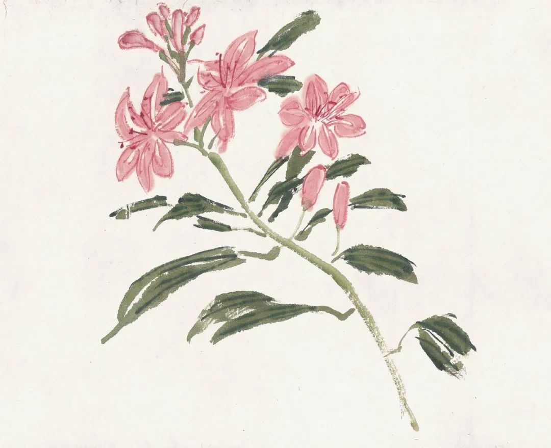 潘天寿：“人们只知道黄宾虹的山水绝妙，其实他的花卉更妙"