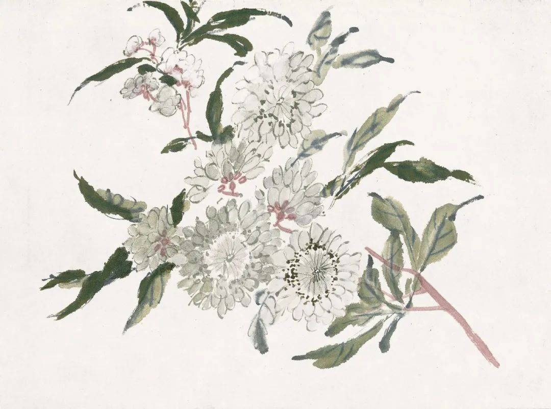 潘天寿：“人们只知道黄宾虹的山水绝妙，其实他的花卉更妙"