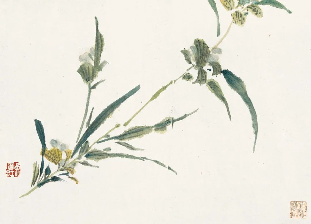 潘天寿：“人们只知道黄宾虹的山水绝妙，其实他的花卉更妙"