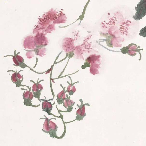 潘天寿：“人们只知道黄宾虹的山水绝妙，其实他的花卉更妙"