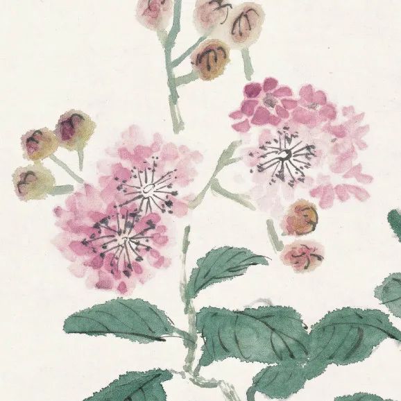 潘天寿：“人们只知道黄宾虹的山水绝妙，其实他的花卉更妙"