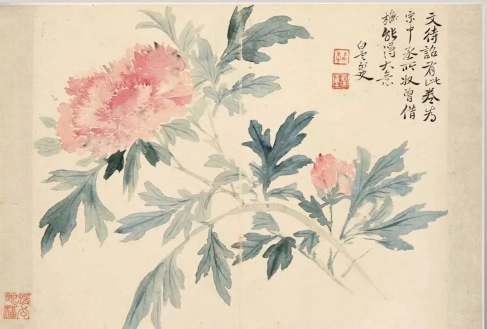 四时花果之美