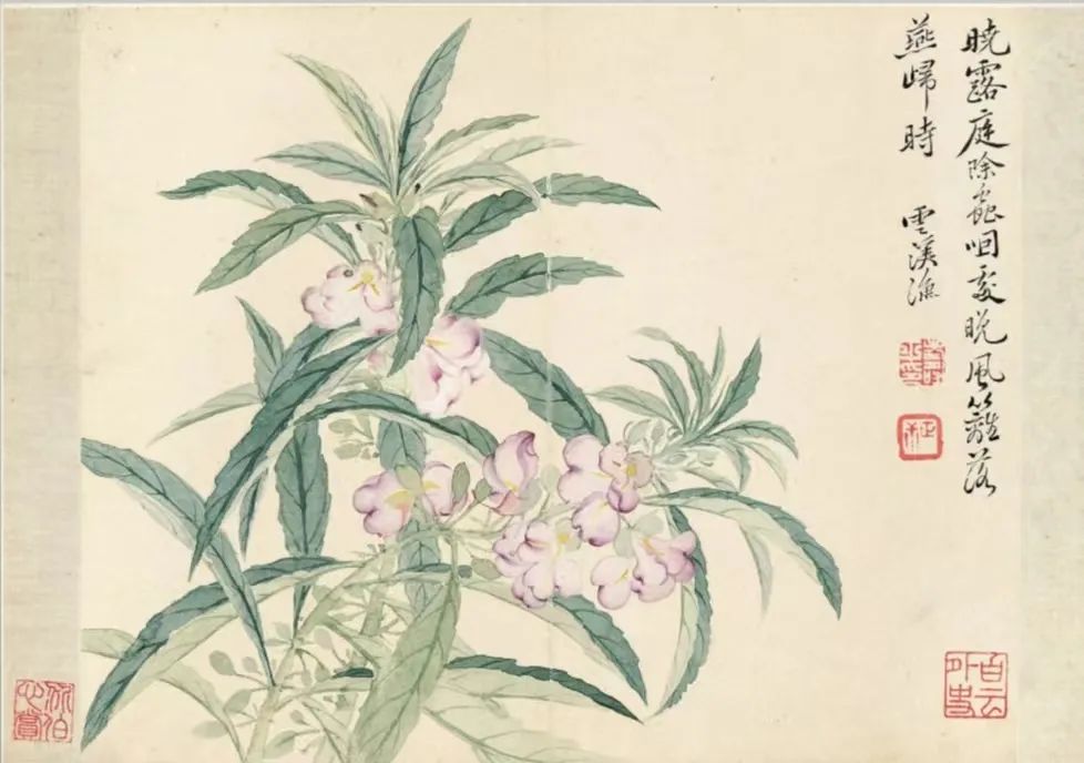 四时花果之美