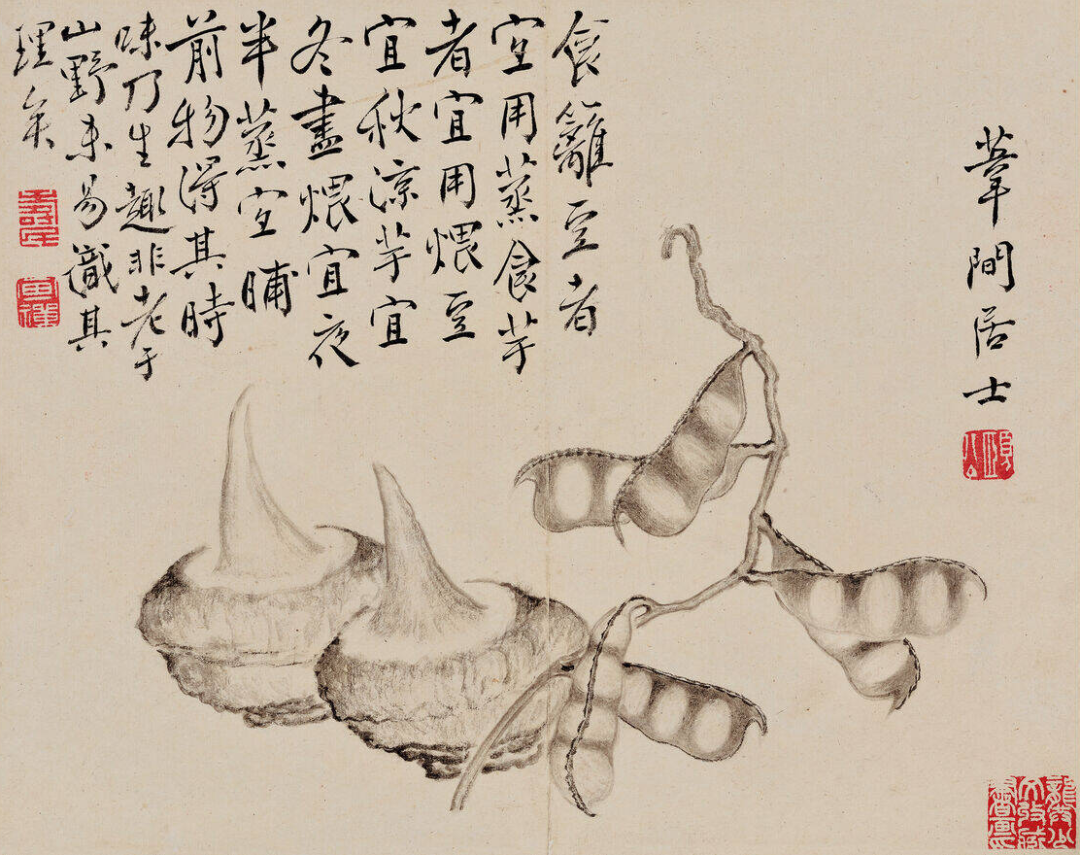 边寿民《十二月令江南风物册》