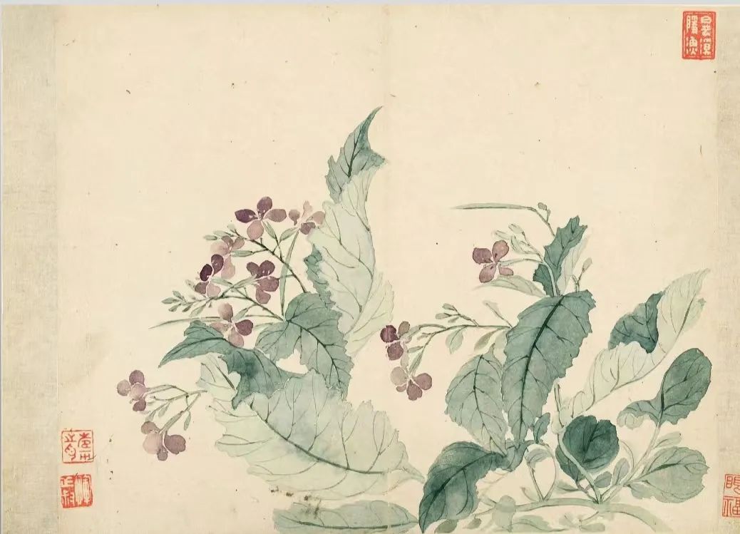 四时花果之美