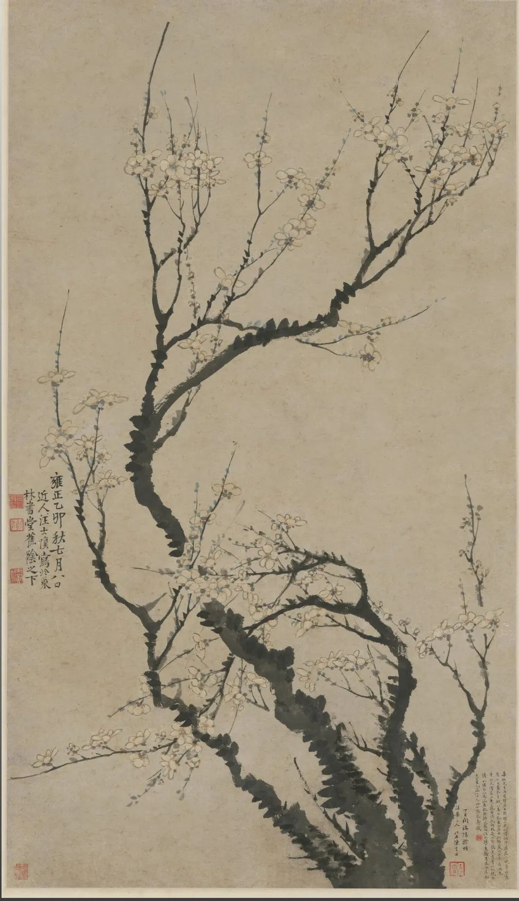 傲骨梅花 凌寒独立