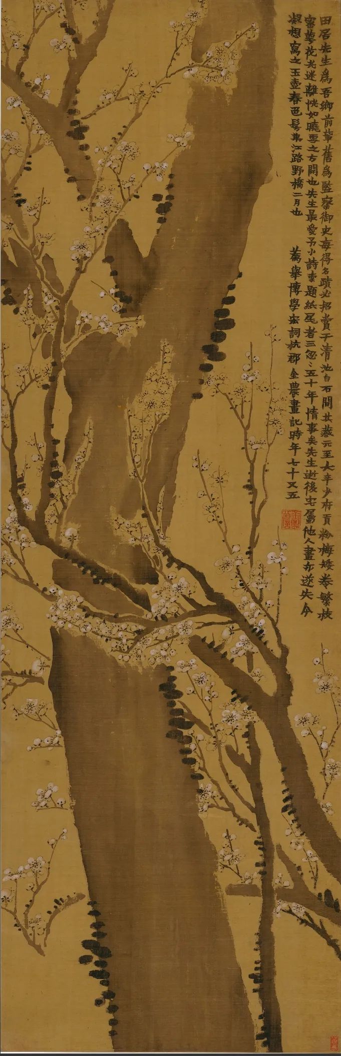 傲骨梅花 凌寒独立