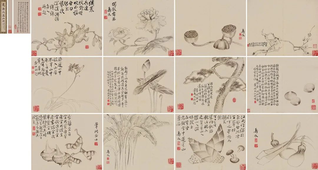 边寿民《十二月令江南风物册》