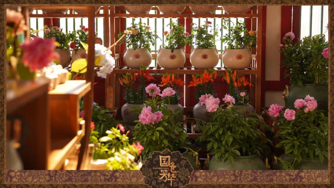 宋代插花艺术让你大开“花”界!