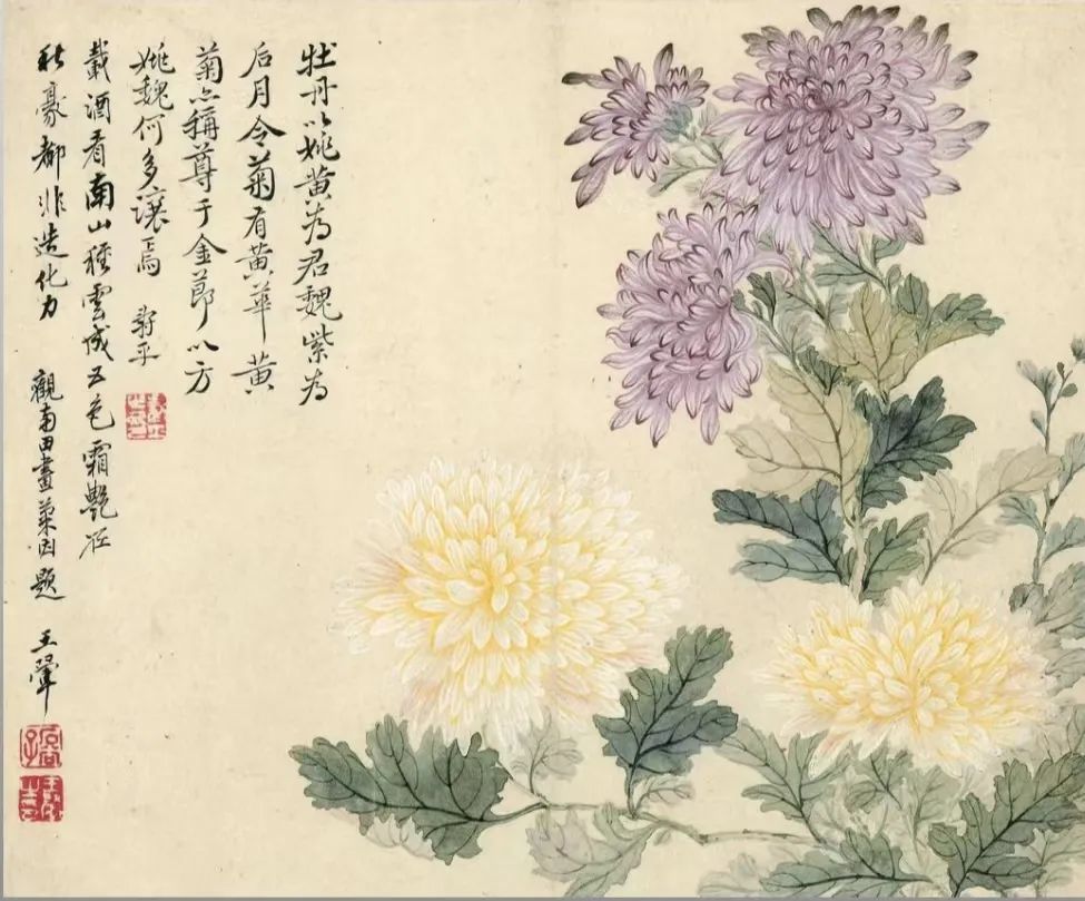 四时花果之美