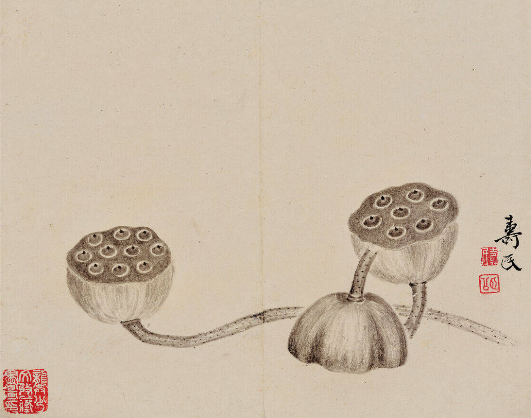 边寿民《十二月令江南风物册》