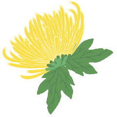不是花中偏爱菊 此花开尽更无花
