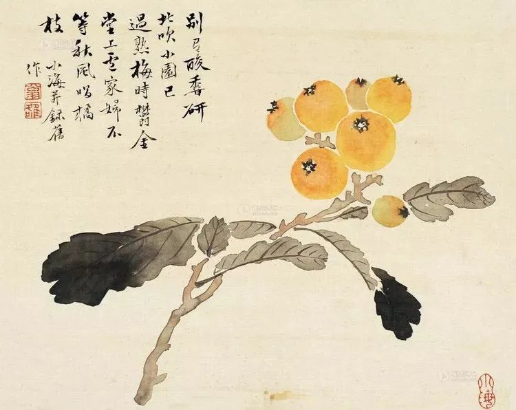 翁小海:晚清花鸟能手