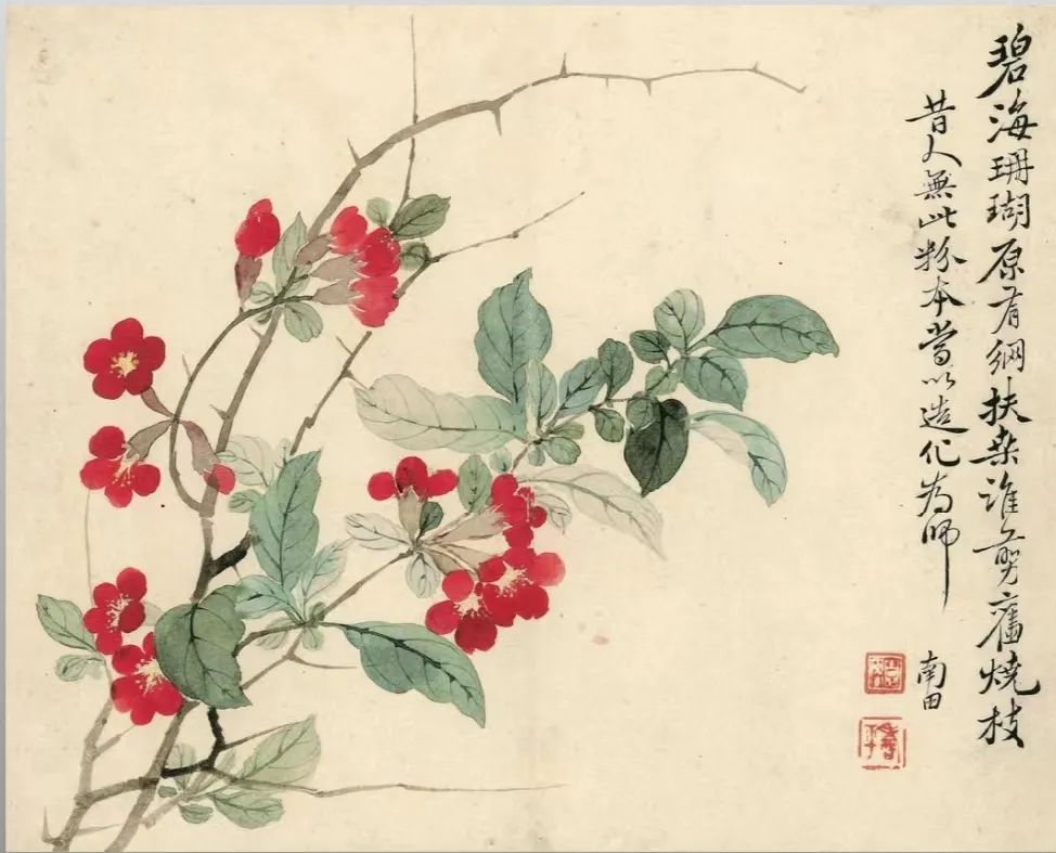 四时花果之美
