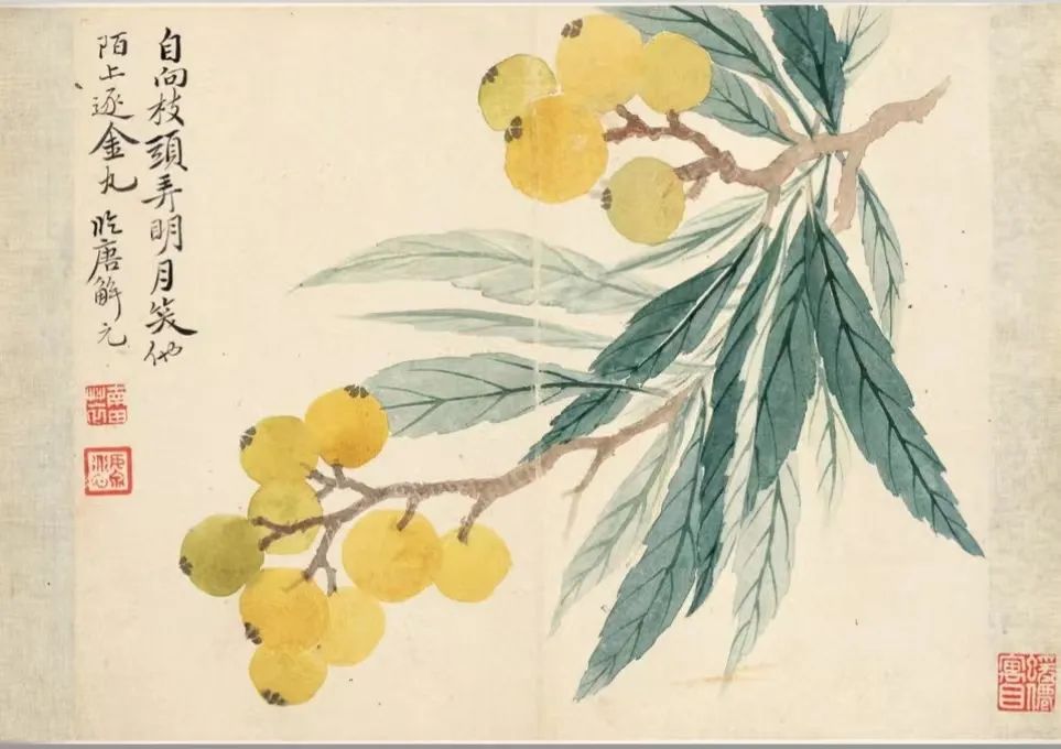 四时花果之美