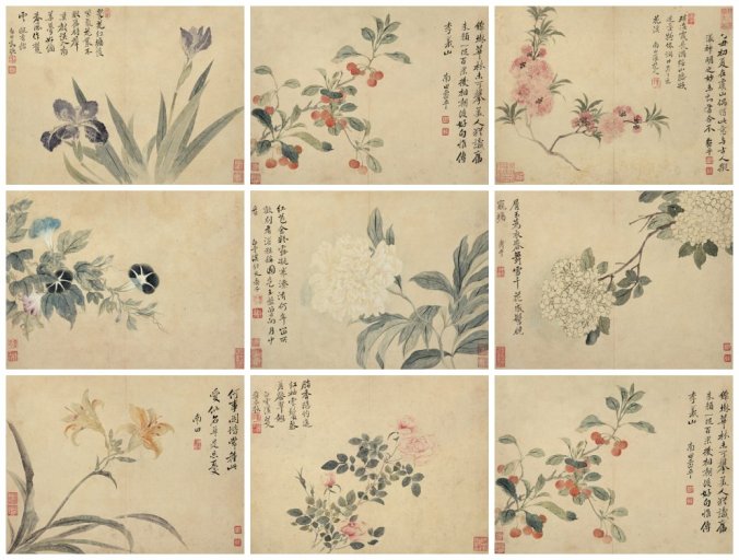 清朝 恽寿平 花卉图册八开 TIF高清下载