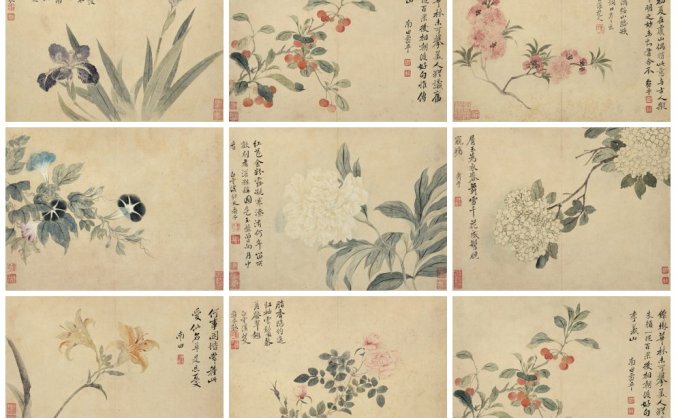 清朝 恽寿平 花卉图册八开 TIF高清下载