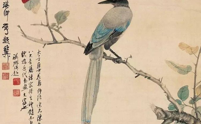 国画花鸟基本画法,值得珍藏!